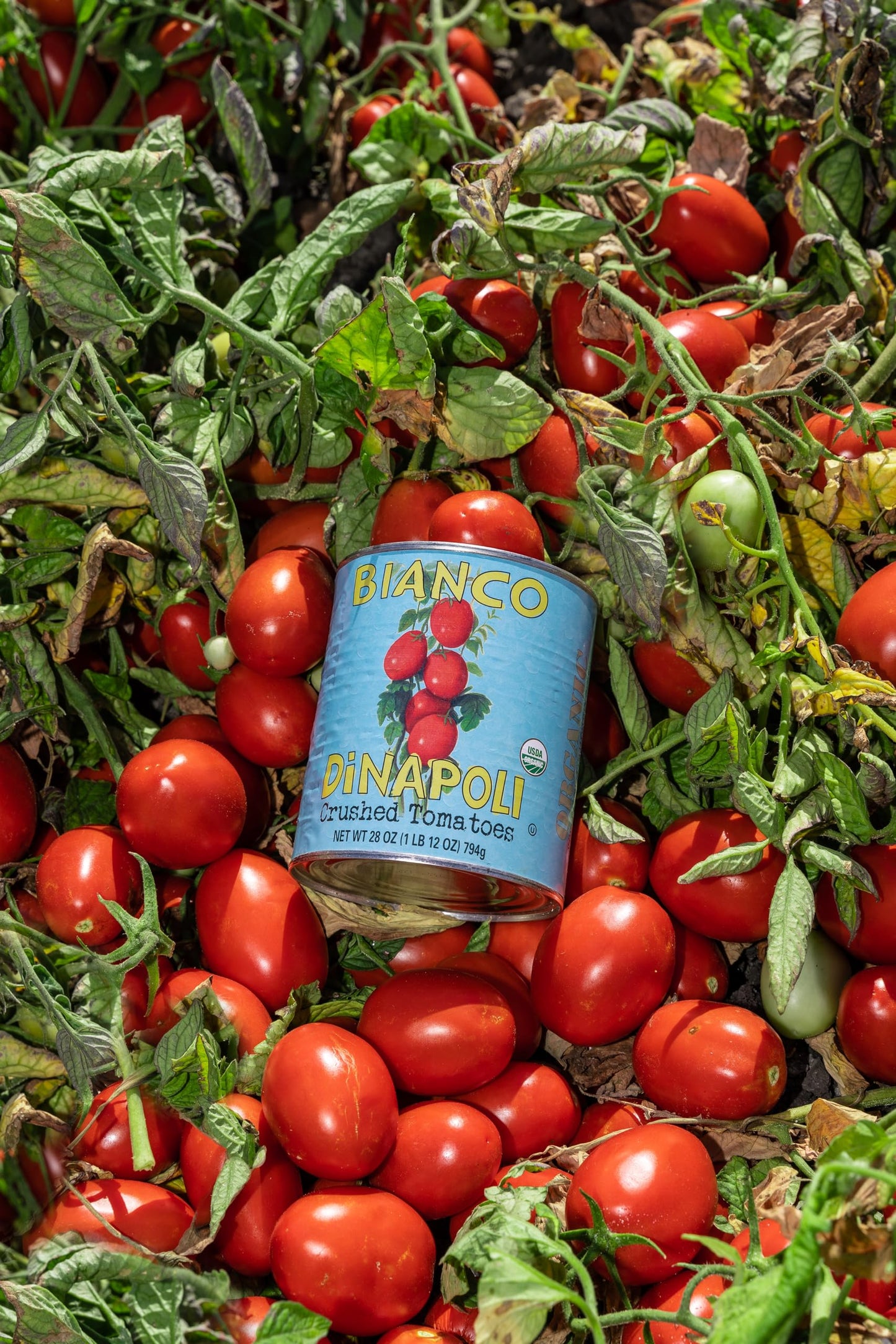 Bianco Dinapoli Organic Crushed Tomatoes, 28 Oz (Pack Of 6) - Grown In California, Vine Ripened, Hand Selected, Plum Tomatoes