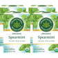 Organic Spearmint Tea, 16 Bags