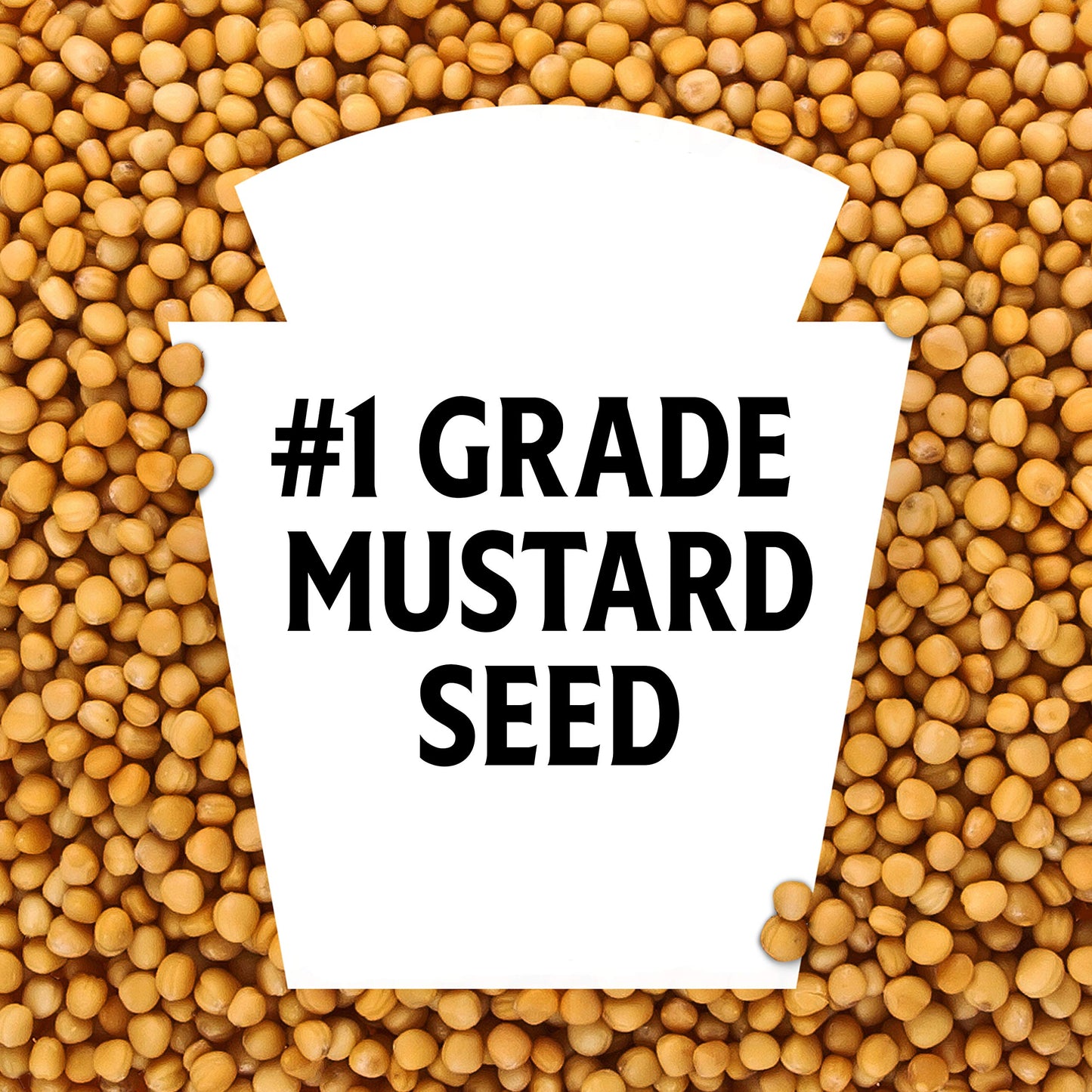 Heinz 100% Natural Yellow Mustard (12 ct Pack, 8 oz Bottles)