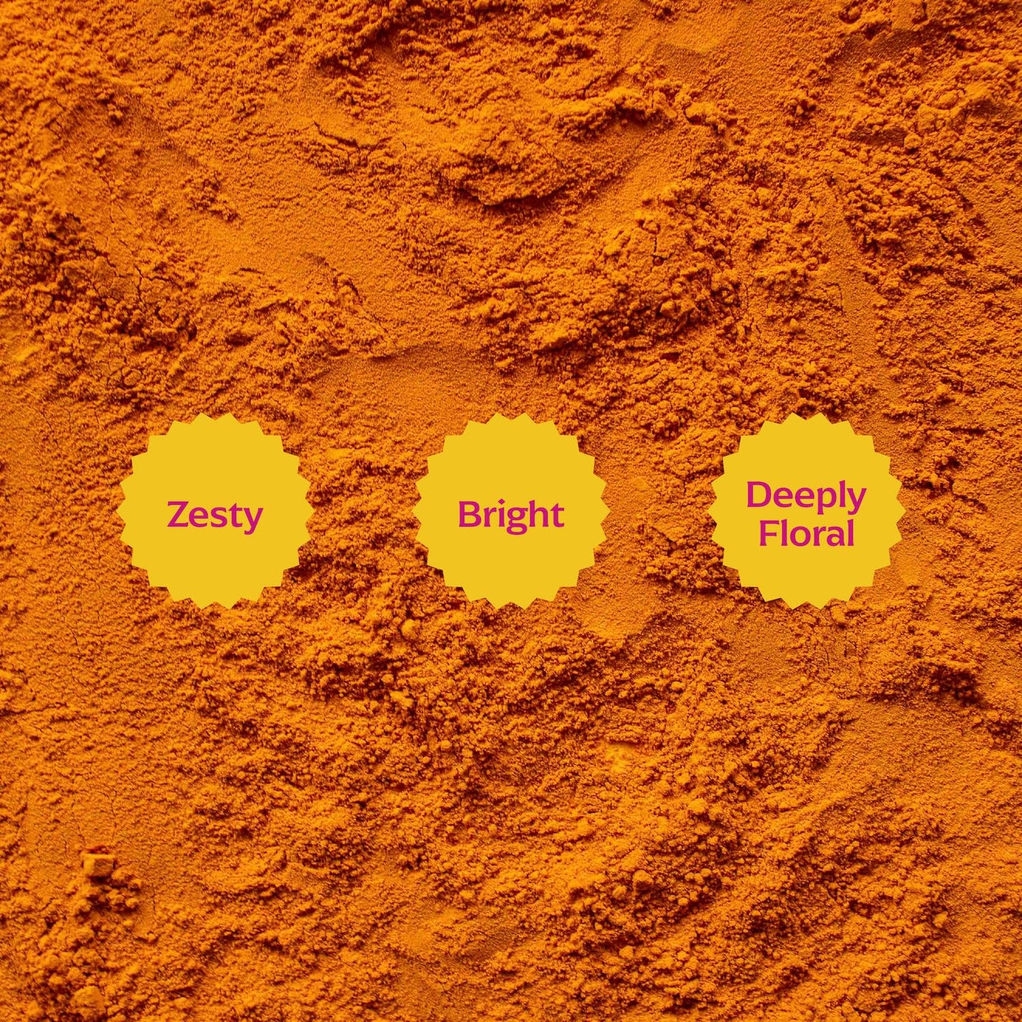 Diaspora Spice Co. Pragati Turmeric | Single-Origin Turmeric Powder | Bright & Floral | 48g Everyday Tin