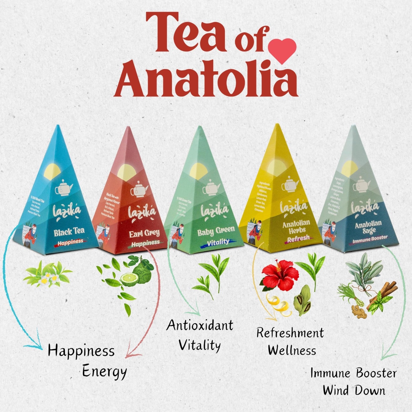 LAZIKA Tea Variety Pack - Black, Green, Herbal Tea Sampler Gift Set, 10 Count, Premium Collection with Pyramid Infuser Bag