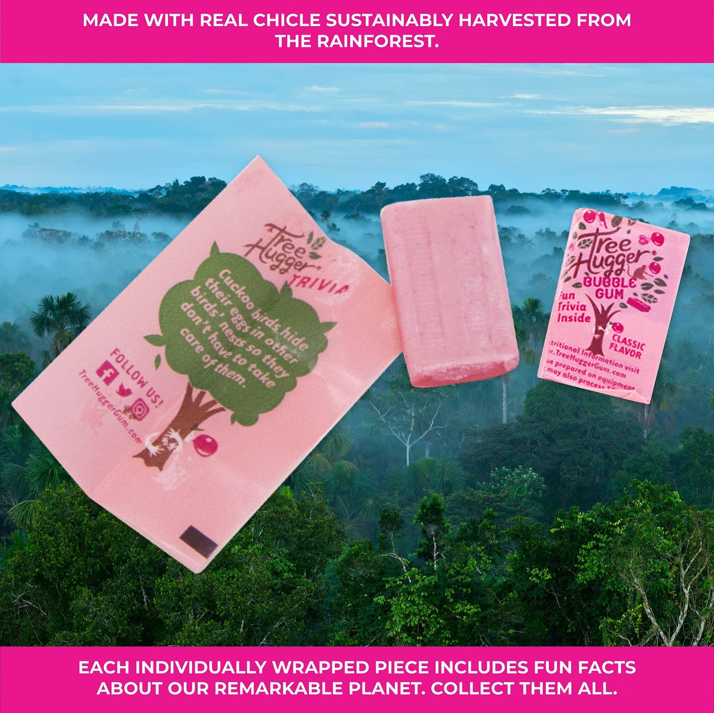 Tree Hugger Classic Bubble Gum with Xylitol, 8 Count (Pack of 12), 100% Tooth Friendly, Sweetened, 1.4 oz per Bag