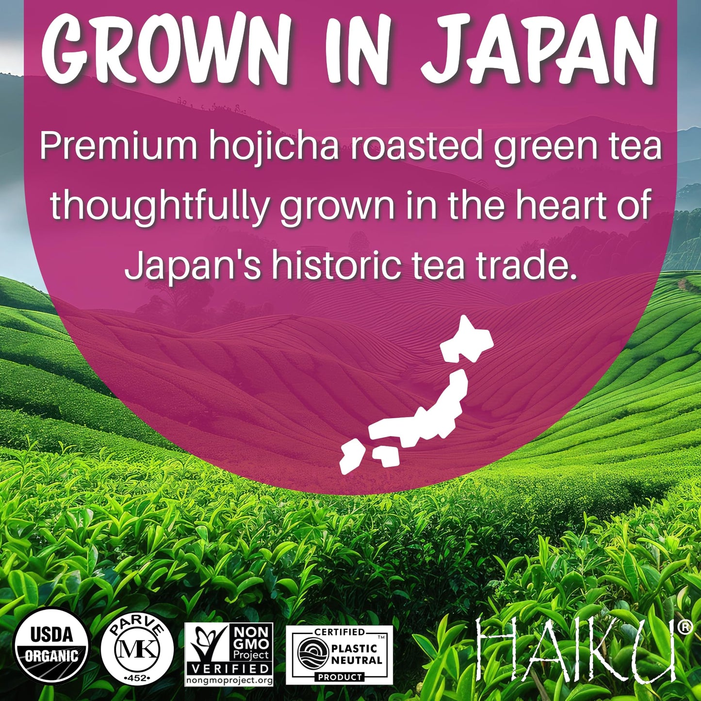 Haiku Organic Japanese Hojicha Roasted Green Tea, Kosher, Non-Gmo, 16 Teabags (1 Box)