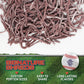 Big League Chew G  Bubble Gum - 3-Pack, 2.12oz Packets, Purple, Baseball Candy for   & Party Favors