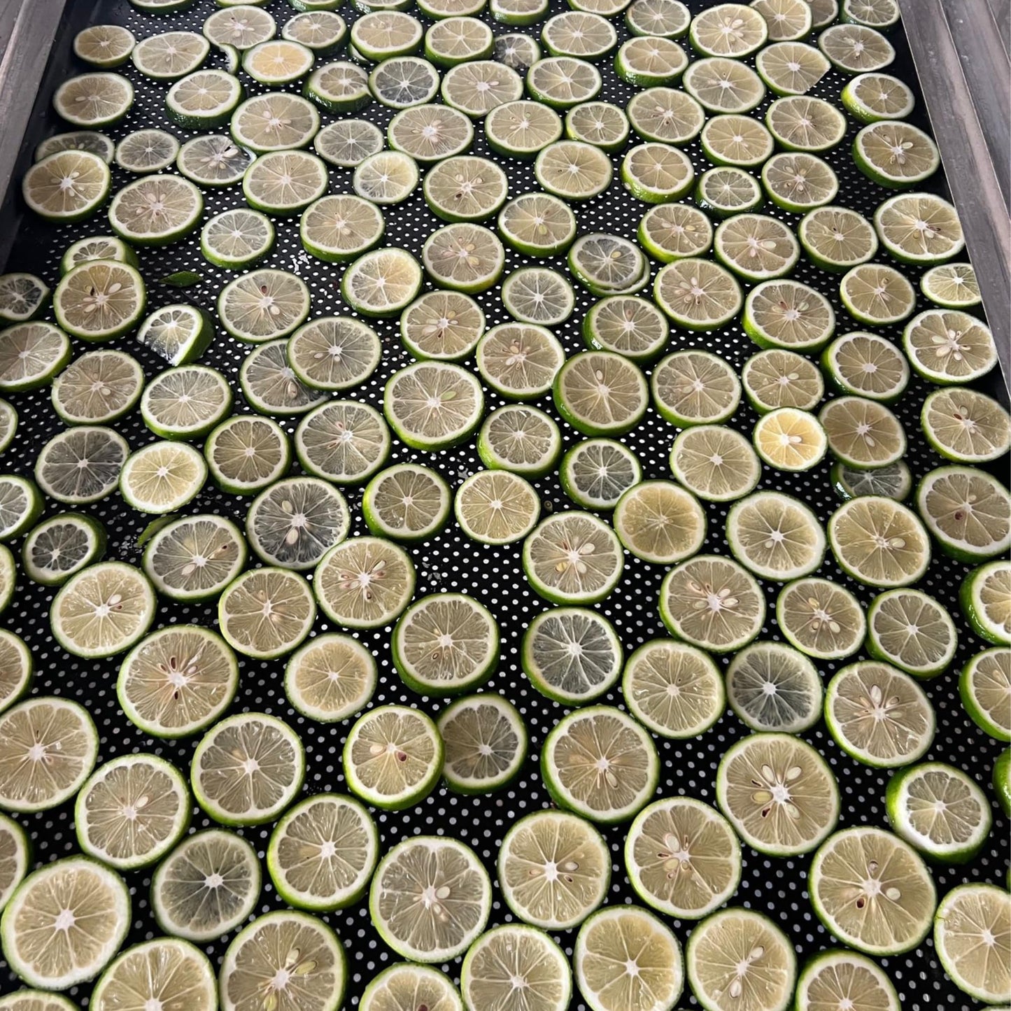 Dehydrated Dried Lime Slices Wheels | 50 + Servings Approx. | 100% Natural No Added Sugars | Cocktails, Wreath Making, Tea, Cakes, Garnish Decoration | Limes For Cocktails | Pet Jar |4.9 Oz, 140 Grams