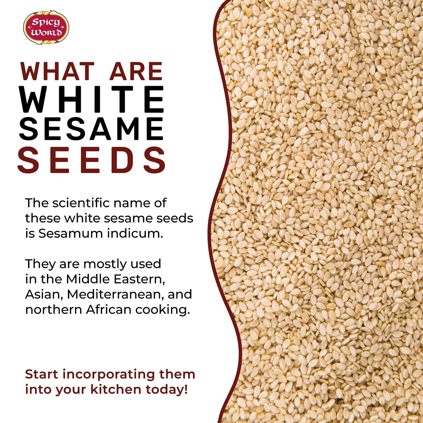 Spicy World White Sesame Seeds - Natural, Raw, Hulled, Non-GMO, 3 LB Resealable Bag