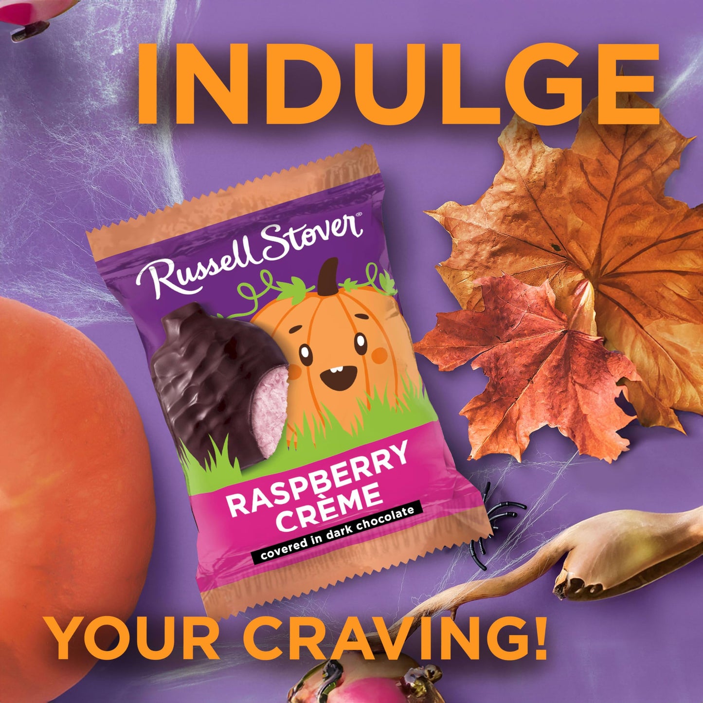 RUSSELL STOVER Halloween Dark Chocolate Raspberry Crme Pumpkin, 1.3 oz. (Pack of 18) - Bulk Halloween Candy
