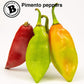 Bertie's Trinidad Pimento Sauce (10 Oz./300ml) | Adds Wonderful Flavour and Aroma Without The Heat to Dish | Perfect To Season M