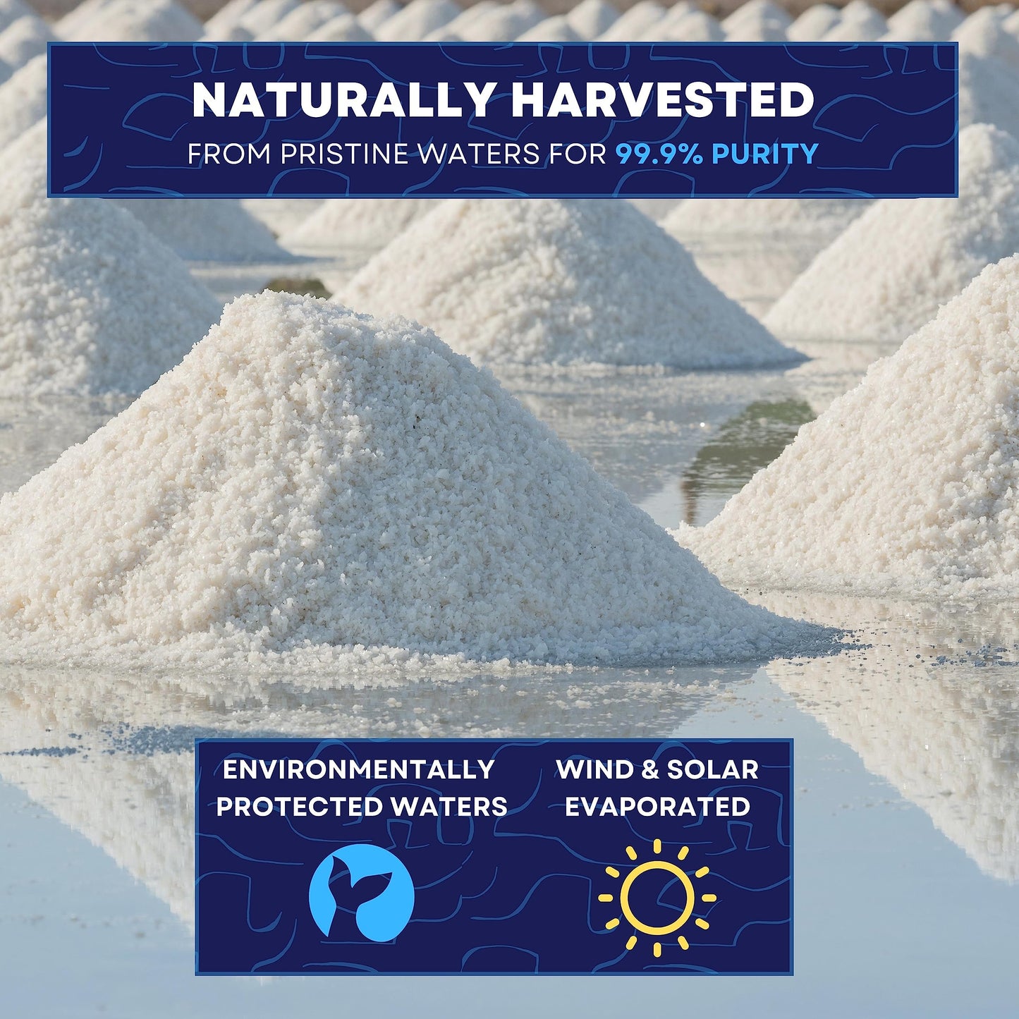 Kosher Sea Salt, Coarse Grain Kosher Salt, Replacement For Table Salt, Non-Iodized, All-Natural, No Additives (14 Oz Bag) - Sea