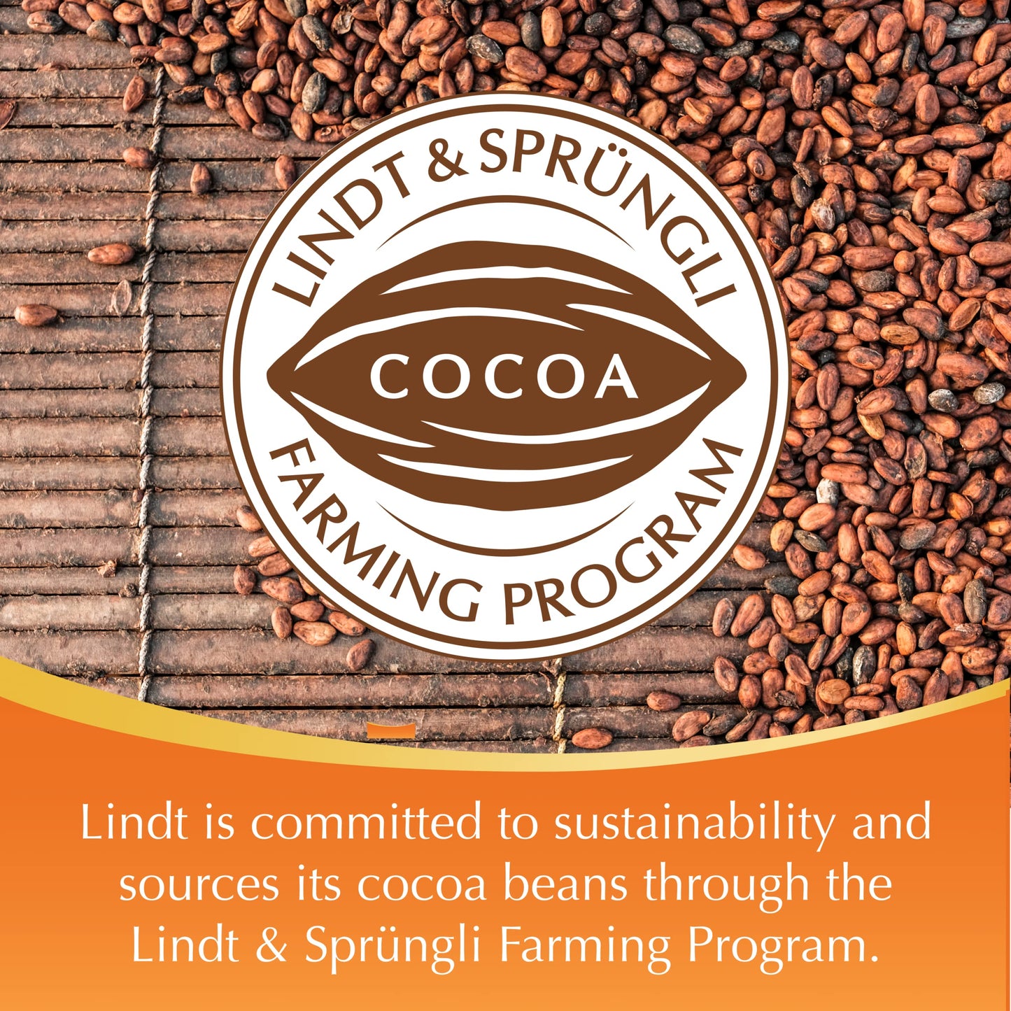 Lindt Lindor Caramel Milk Chocolate Truffles, Milk Chocolate Candy With Smooth, Melting Truffle Center, Great For Gift Giving, 5.1 Oz. Bag (6 Pack)
