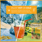 Wissotzky Mango & Passion Fruit Tea (20 Tea Bags) Caffine Free, Made With Premium Fruit & Herbal Tea Leaves