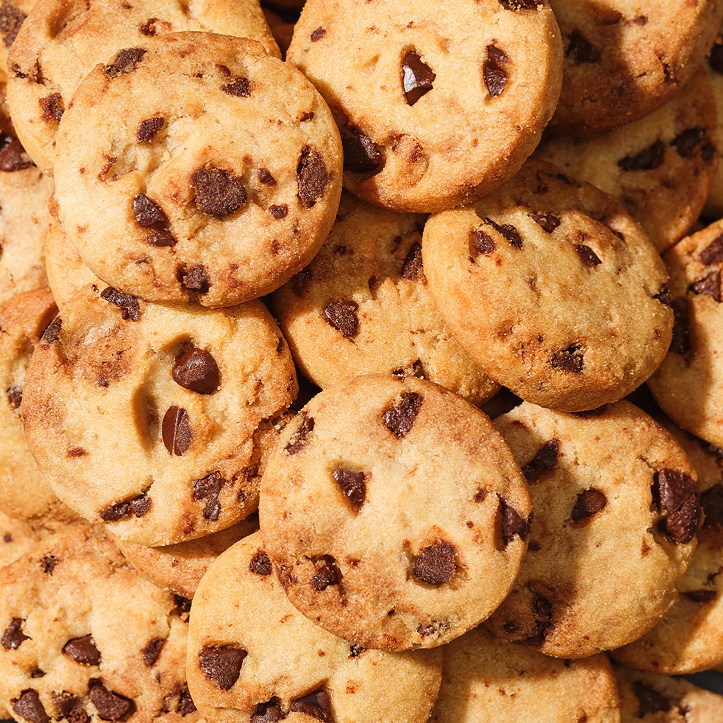 CHIPS AHOY! Mini Original Chocolate Chip Cookies, Snack Pack, 12 - 8 Ounce Snak-Saks (Pack of 12)