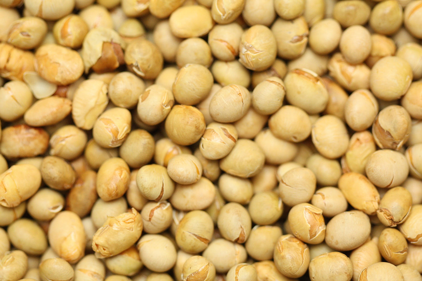 Yupik Soya Beans, Unsalted Roasted, 2.2 Lb (Pack Of 1), (Package May Vary)