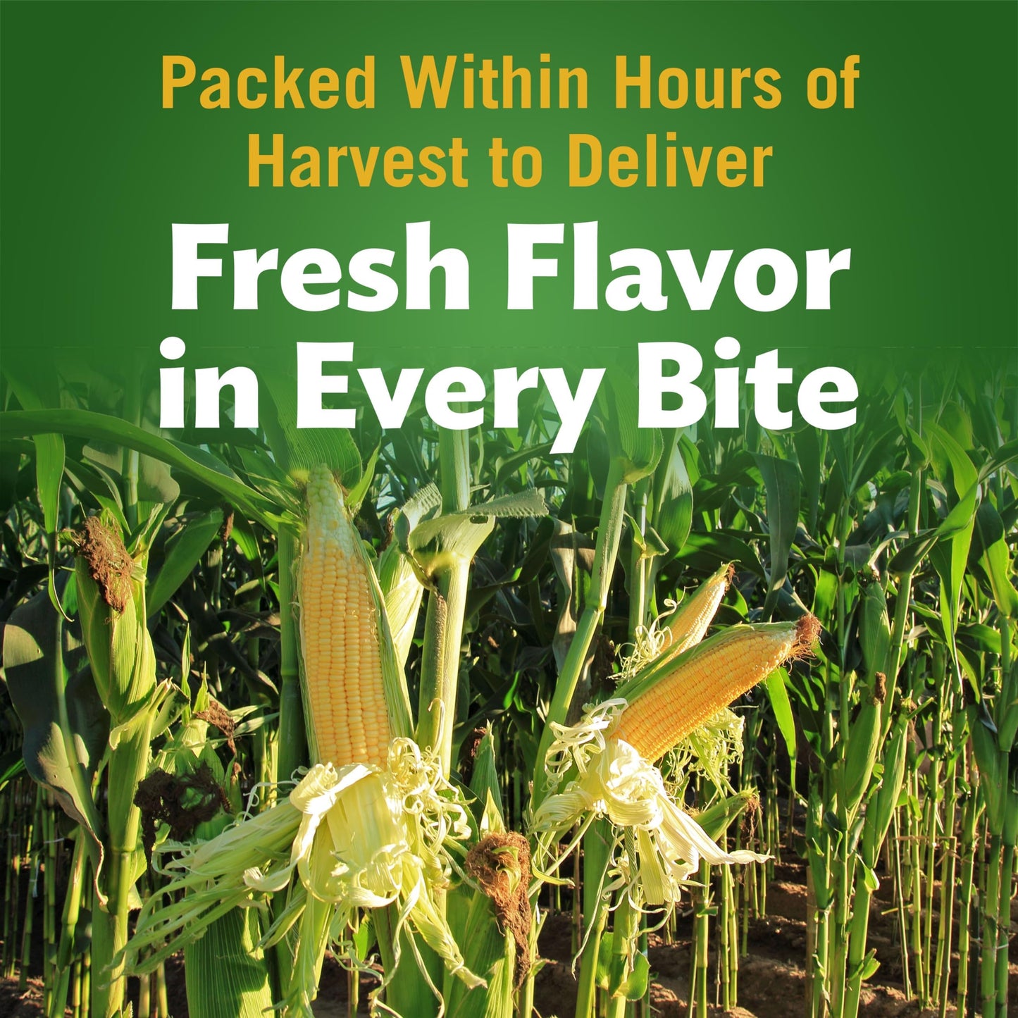 Del Monte Fresh Cut Golden Sweet Whole Kernel Corn No Salt Added, 15.25 oz. Can, Canned Vegetables