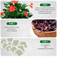 TeaDreamTea Hibiscus Tea Bags - 100 Bleach-Free Herbal Tea Bags, Caffeine Free, Brew Hot or Iced
