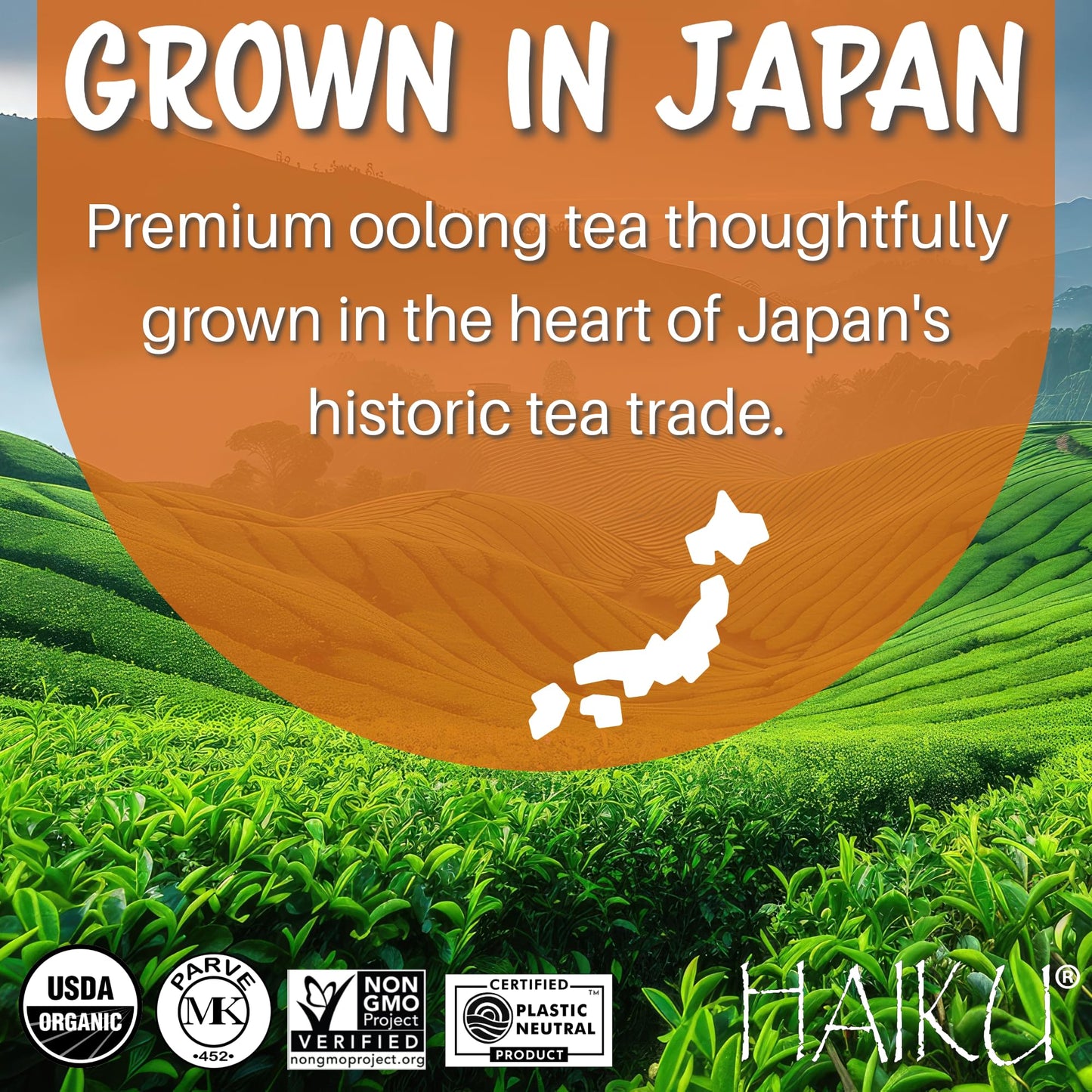 Haiku Organic Japanese Oolong Tea, Non-Gmo, Kosher, Usda Organic, 1 Box (16 Teabags)
