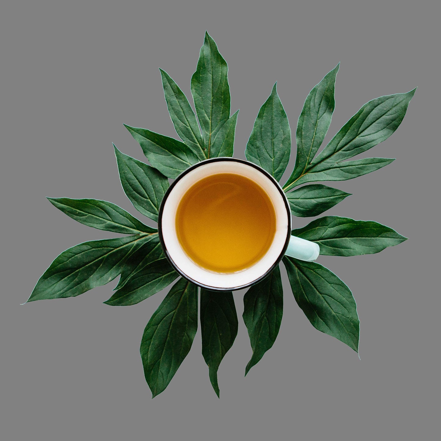 Scottish Breakfast, Loose Leaf Black Tea - Caffeinated | Bulk 8Oz, 80-100 Cups | The Spice Hut, First Sip Of Tea
