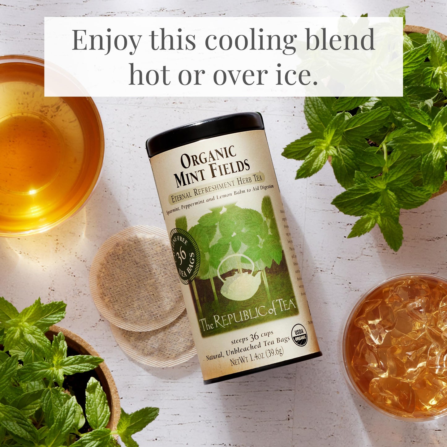 The Republic of Tea Mint Fields Tea Bags - Bulk 250 Count, 1 Pound