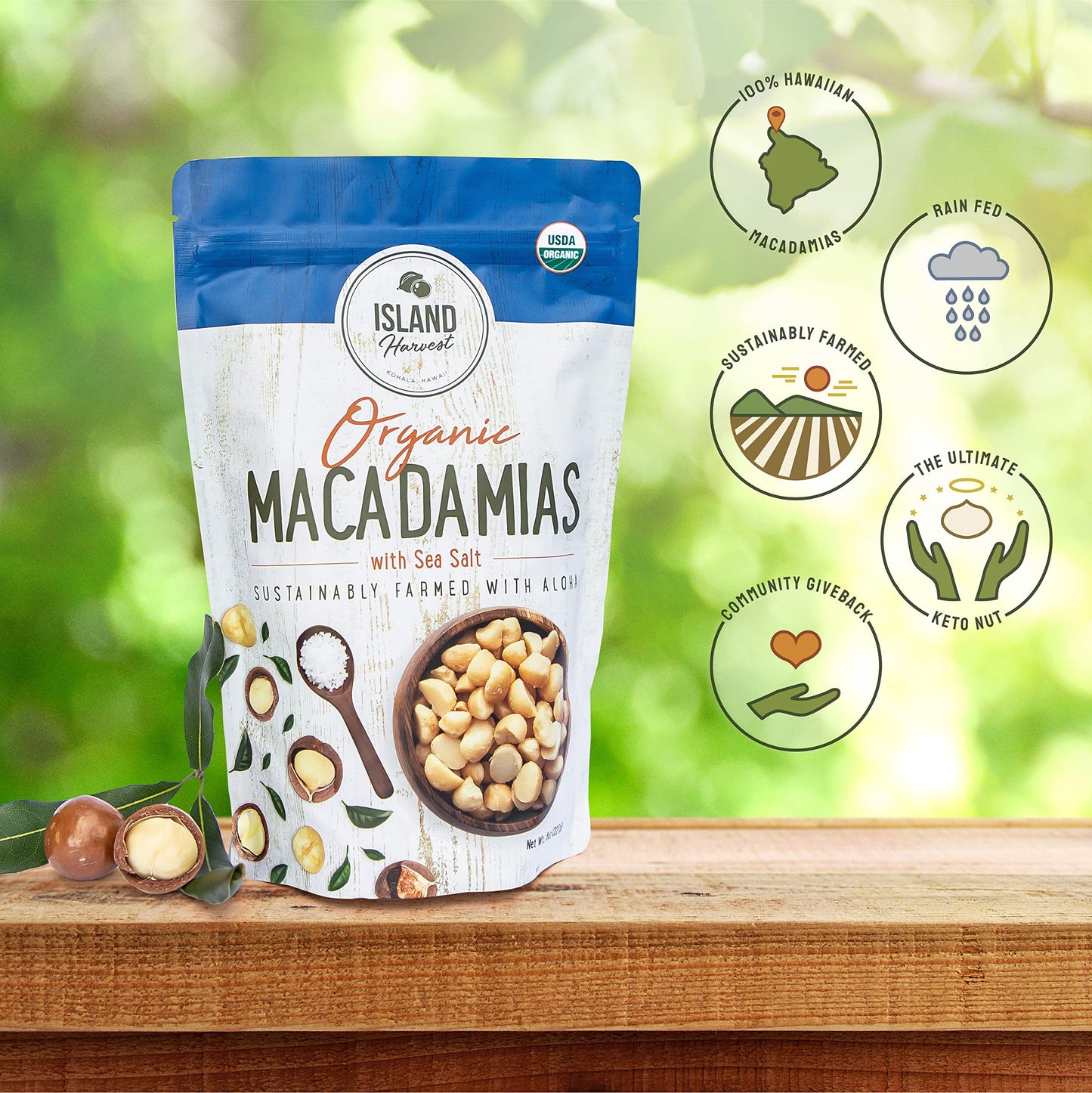 Island Harvest Organic Macadamia Nuts, Sea Salt, Keto Friendly, Gluten-Free, 8 Ounce (2-Pack)