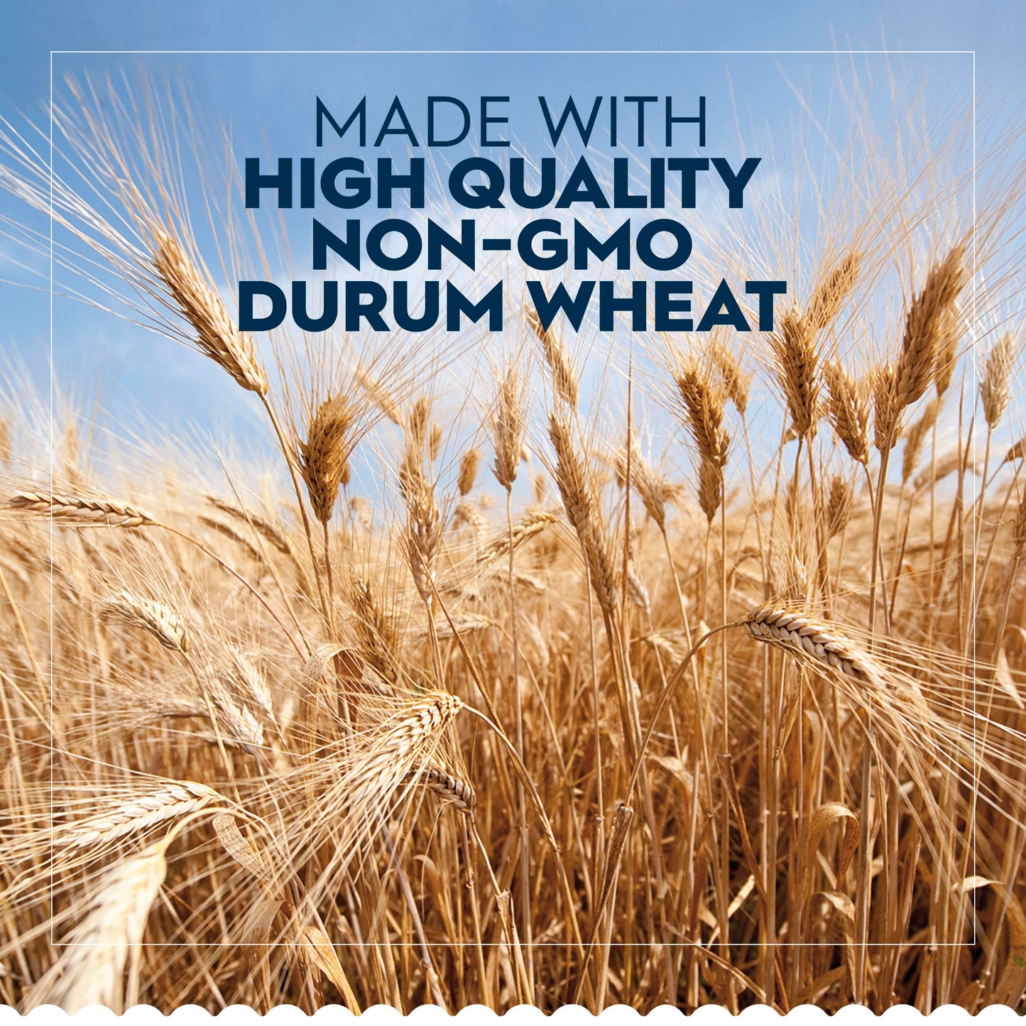 Barilla Three Cheese Tortellini Pasta, Dried, Non-GMO Ingredients, 12 oz. Bag, 6 Servings