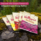 Untapped Organic Raspberry Waffles, Vegan Endurance Snacks, Sweetened with Maple Syrup, 1.05 oz Each, Box of 16