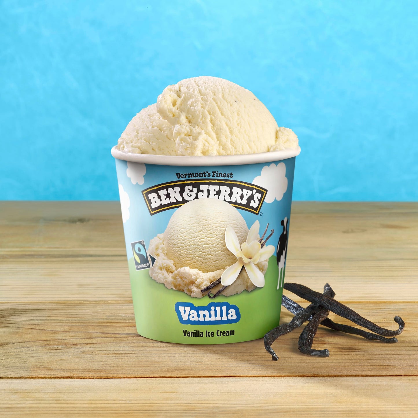 Ben & Jerrys Vanilla Ice Cream Pint Non-GMO 16 oz