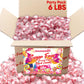 Sweetaholic Sugar Free Peppermint Candy 6 Pounds | Individually Wrapped Candy | Fresh Peppermint Disc