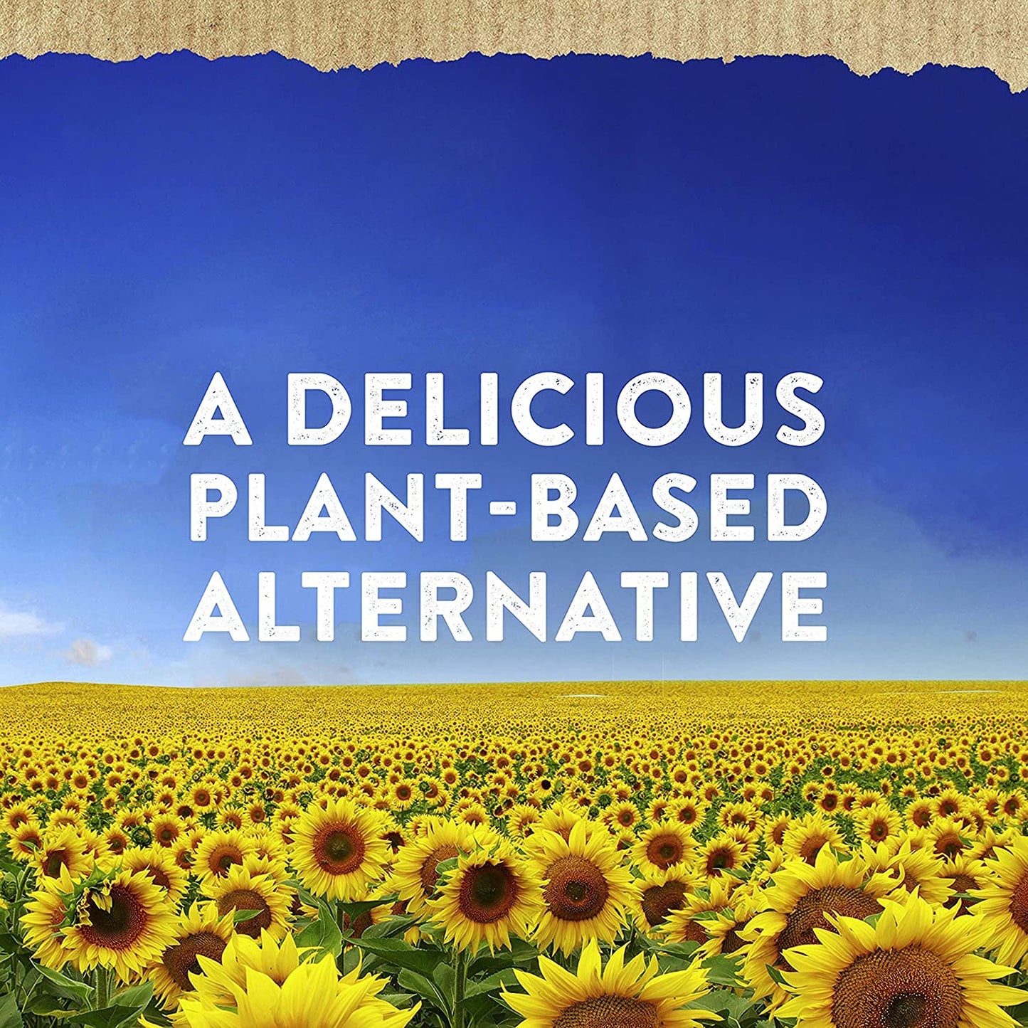 Hellmann s Vegan Dressing and Spread Vegan 3 Ct for a Rich, Creamy Plant-Based Alternative to Mayo Same Great Taste, Plant Base