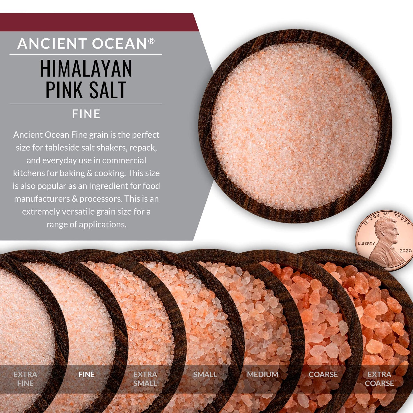 Saltworks Ancient Ocean Himalayan Pink Salt, Fine Grain, 5 Pound Bag