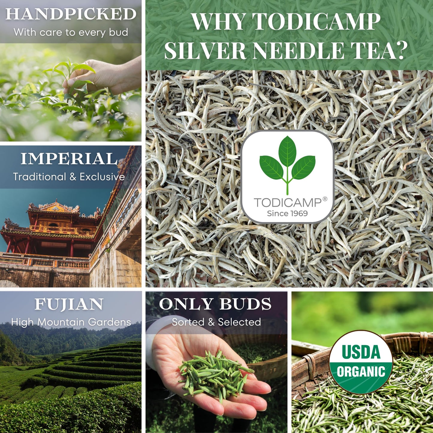 TODICAMP Silver Needle White Tea - Loose Leaf, Rich in Antioxidants - 3 Ounce Pack - White Silver Needle Tea
