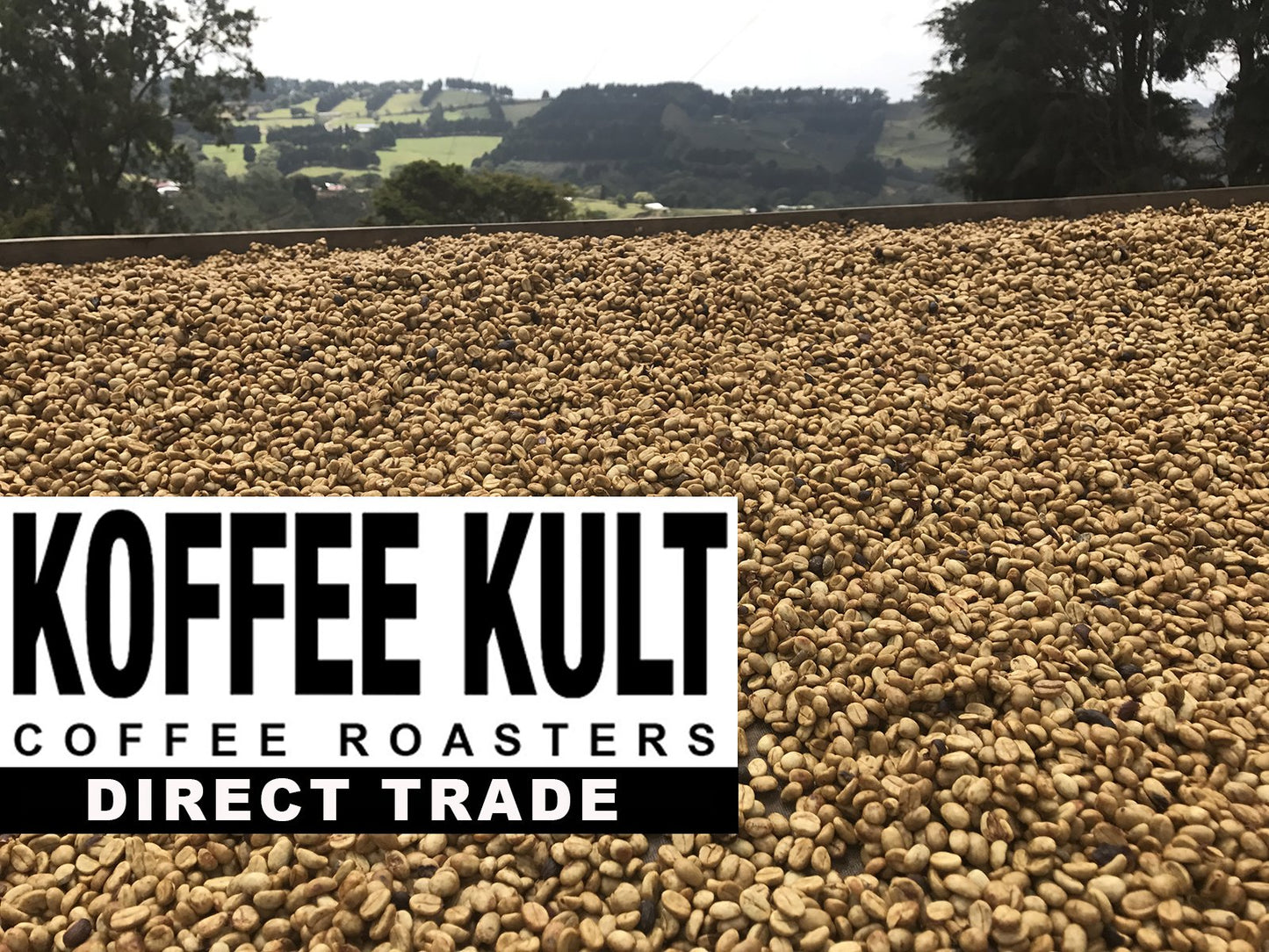 Koffee Kult Dark French Roast Whole Bean Coffee, 100% Arabica, 32oz Resealable Package