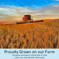 Certified Glyphosate Residue Free Chickpeas | Garbanzo Beans | 36 Lbs | Family Farmed In Washington State | Non-Gmo Project Veri