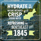 Poland Spring Maine Spring Water Bottles, 12 Pack - Crisp, Still Bottled Water with Naturally Balanced Occurring Minerals & Elec