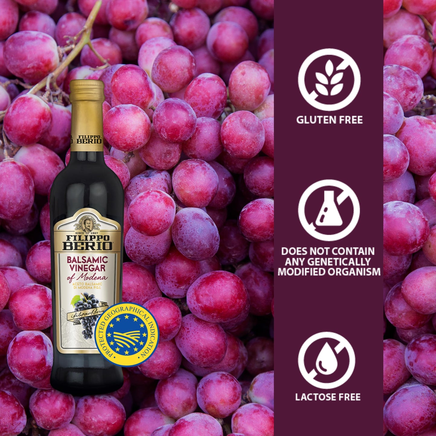 Filippo Berio Balsamic Vinegar Of Modena 8.4 Fl. Oz. Glass Bottle