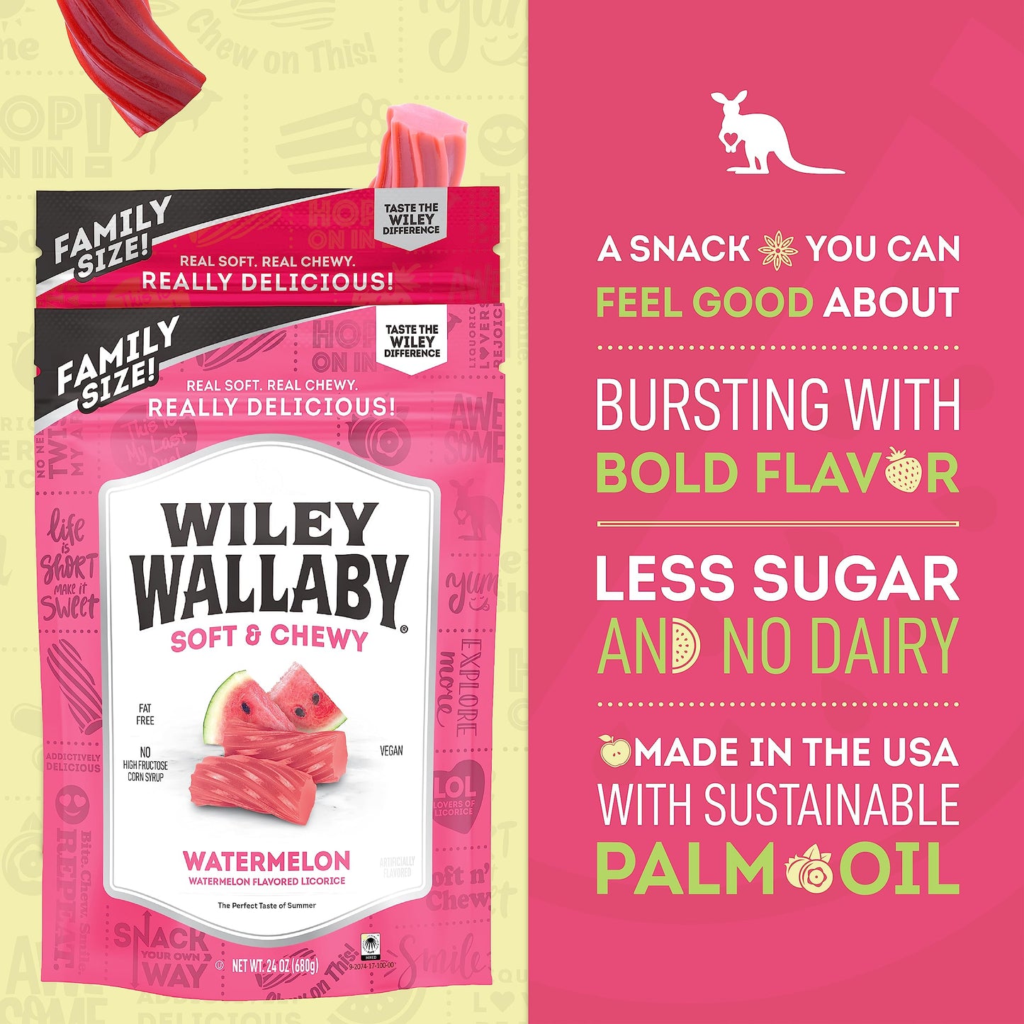Wiley Wallaby 24 Ounce Classic Red & Watermelon Classic Gourmet Australian Style Soft & Chewy Licorice Candy Variety Pack Twists