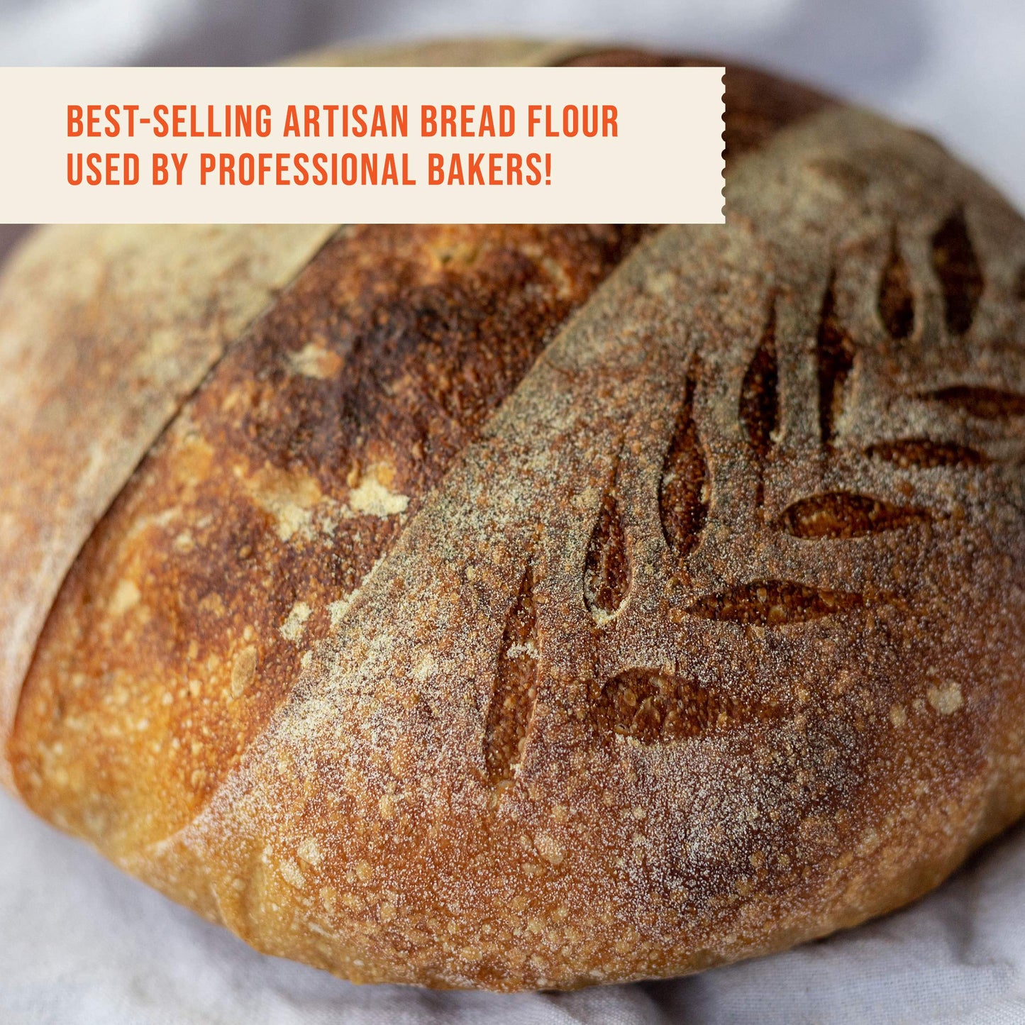 100% Organic Bread Flour - Flour For Baking - 5 Pounds