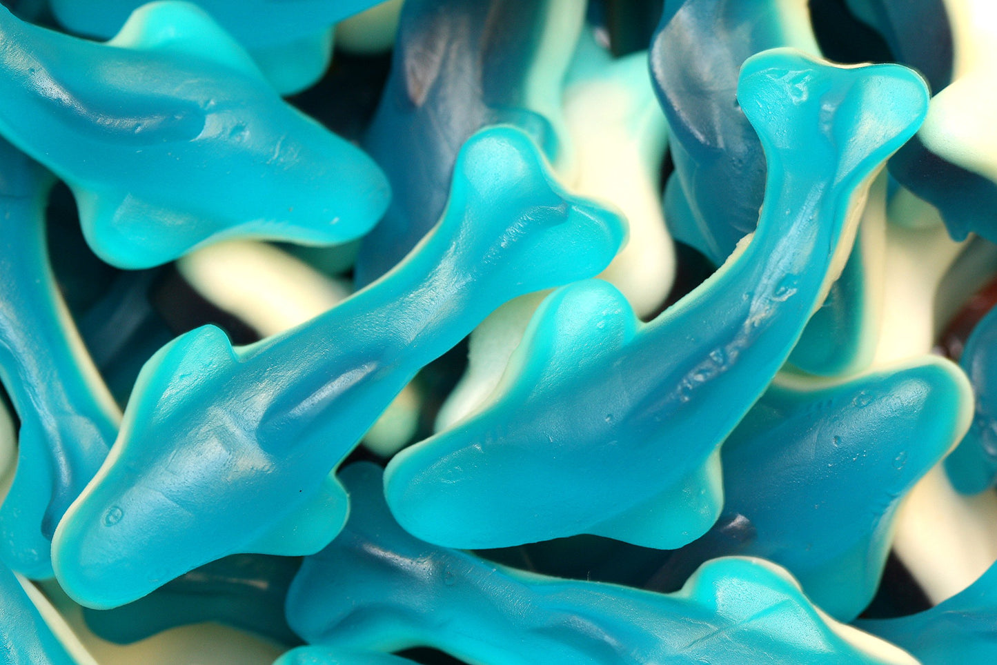 Yupik Gummy Blue Sharks, Shark-Shaped Gummies, Gluten-Free, Fruity Flavor, 2.2 lb, Blue and White