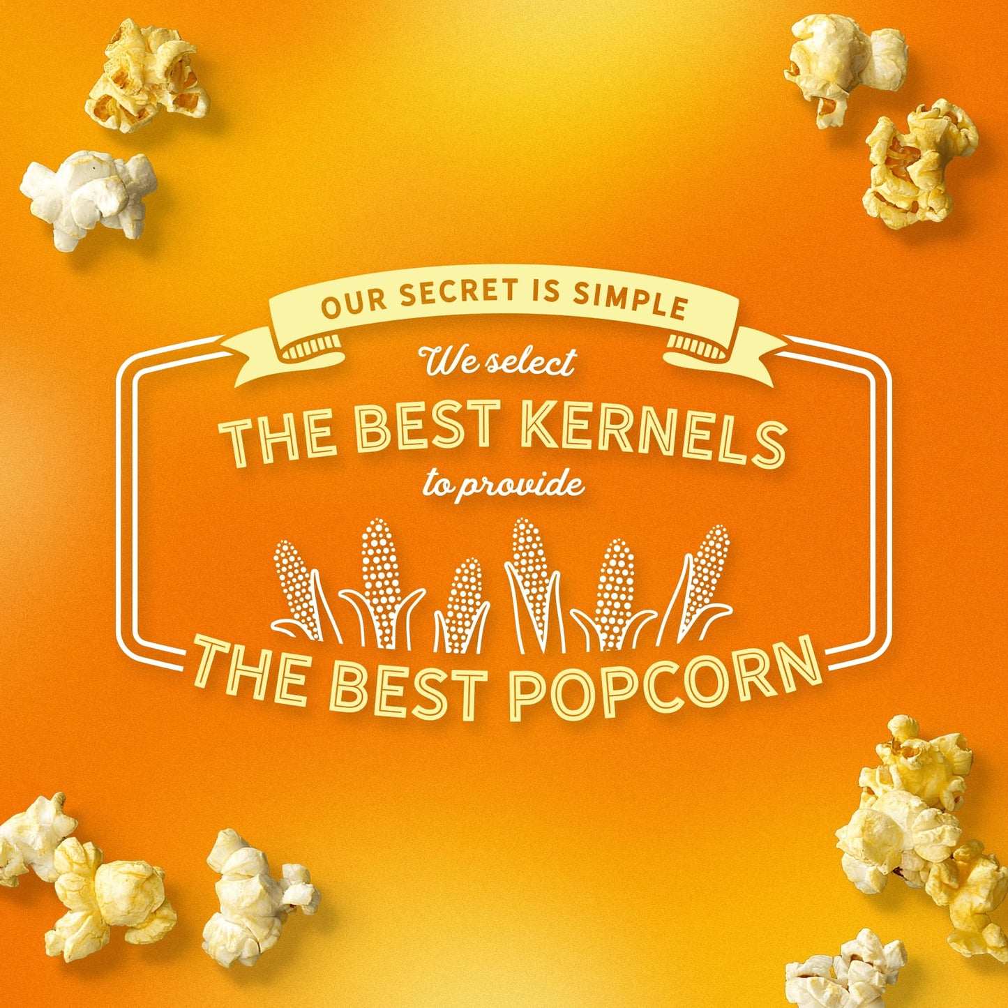 AMC Theatres Microwave Popcorn, Extra Butter, 2.75 oz (6 Boxes, 36 Count)