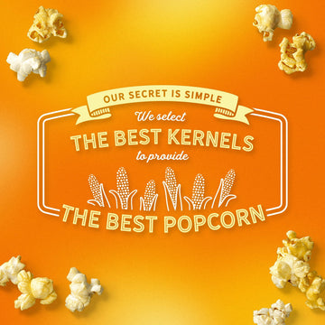 AMC Theatres Microwave Popcorn, Extra Butter, 2.75 oz (6 Boxes, 36 Count)
