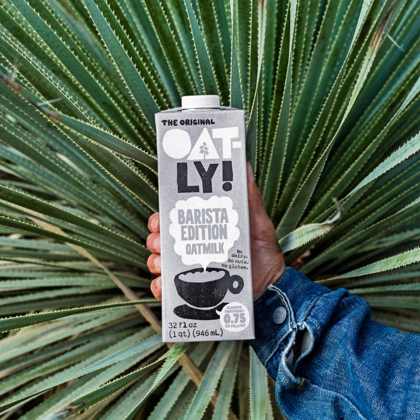 Oatly Barista Edition Oat Milk - Crafted for Coffee | Dairy-Free  Plant-Based  Shelf-Stable Milk that makes Perfect Foam (32 oz  6-pack)