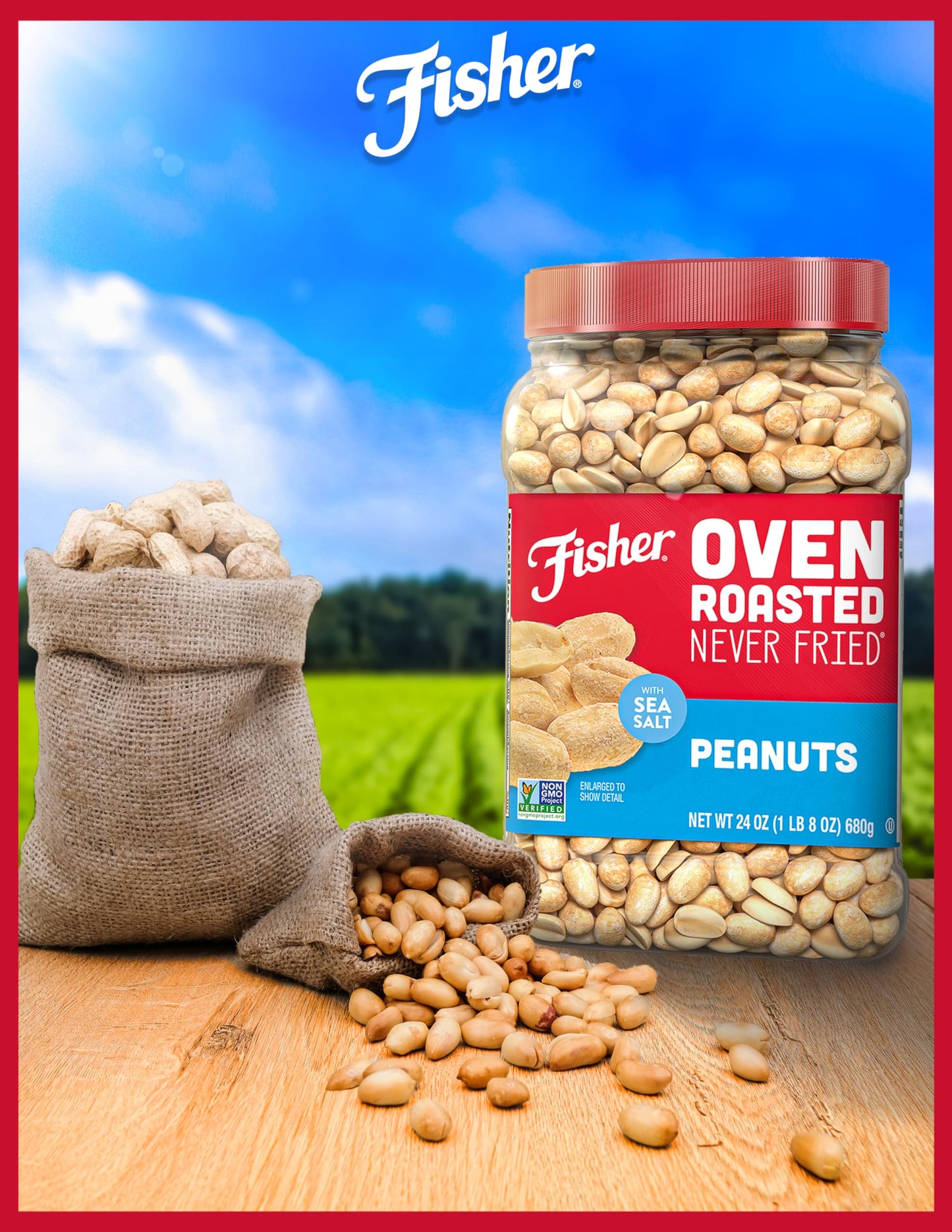 Fisher Oven Roasted Peanuts, Sea Salt, Gluten Free, Vegan, 24 oz (Pack of 6), Brown