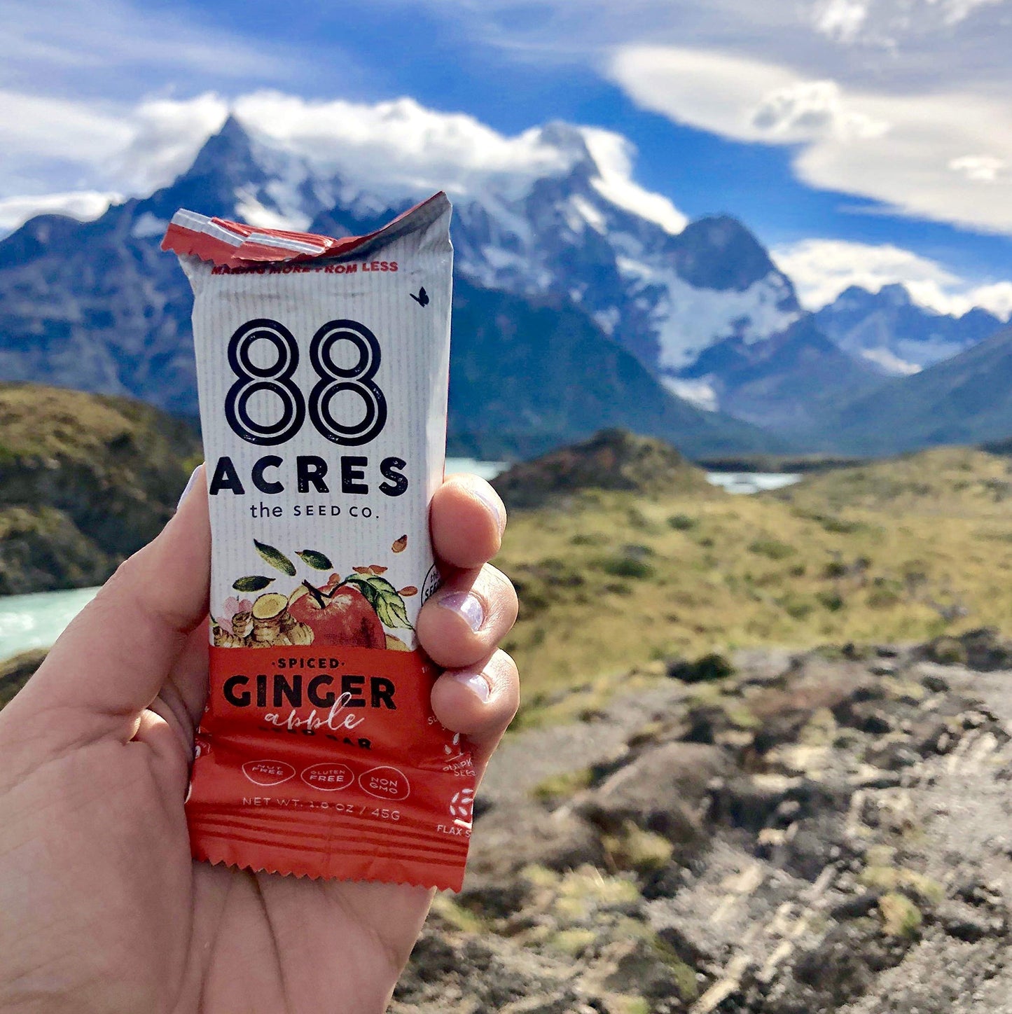 88 Acres, Ginger Apple Seed Bars, 1.6 Ounce, 9 Pack
