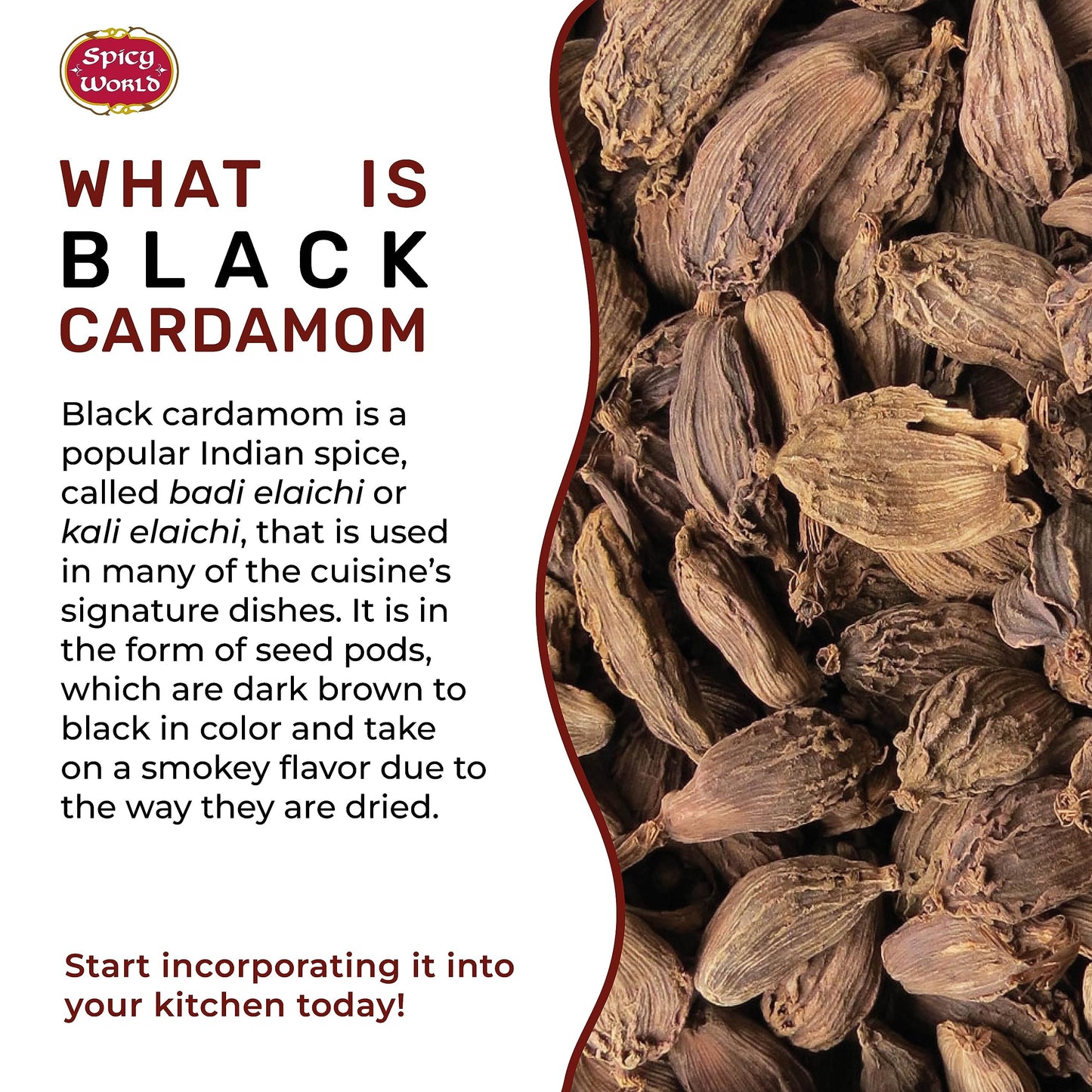 Black Cardamom Pods 3.5 Oz Bag (100Gm) | Whole Kali Elaichi Indian Spice By Spicy World