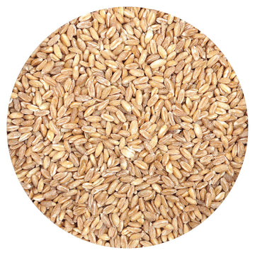 Hampton Distribution Farro Bulk Bag, 2.5 Pound, Good Source of Dietary Iron, Fiber, and Protein, Brown