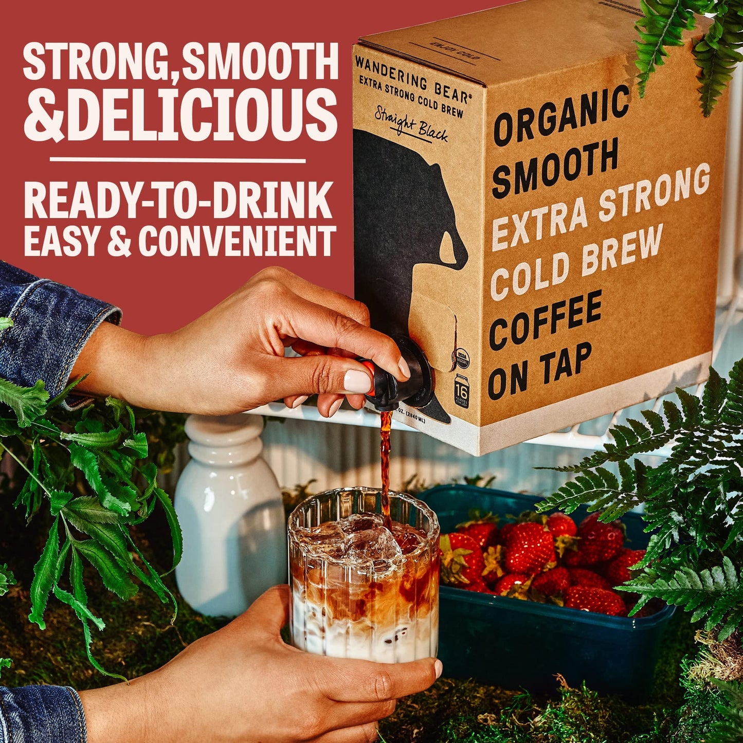 Wandering Bear Organic Mocha Cold Brew Coffee - Extra Strong, Unsweetened, 96 fl oz