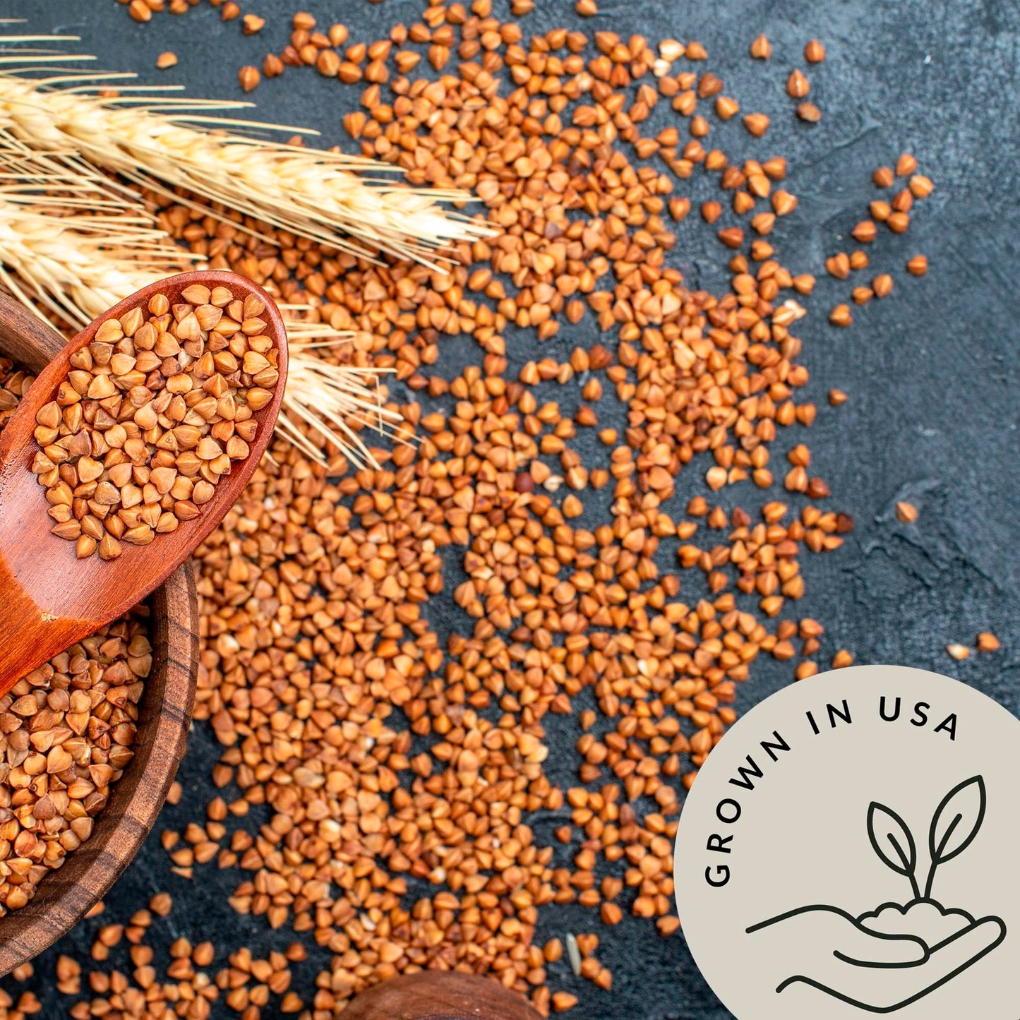 Organic Buckwheat Kasha Roasted (2.8 Lb) Be Still Farms - Grechka Buckwheat Cereal From Toasted Groats Bulk No Hulls - Easy To P