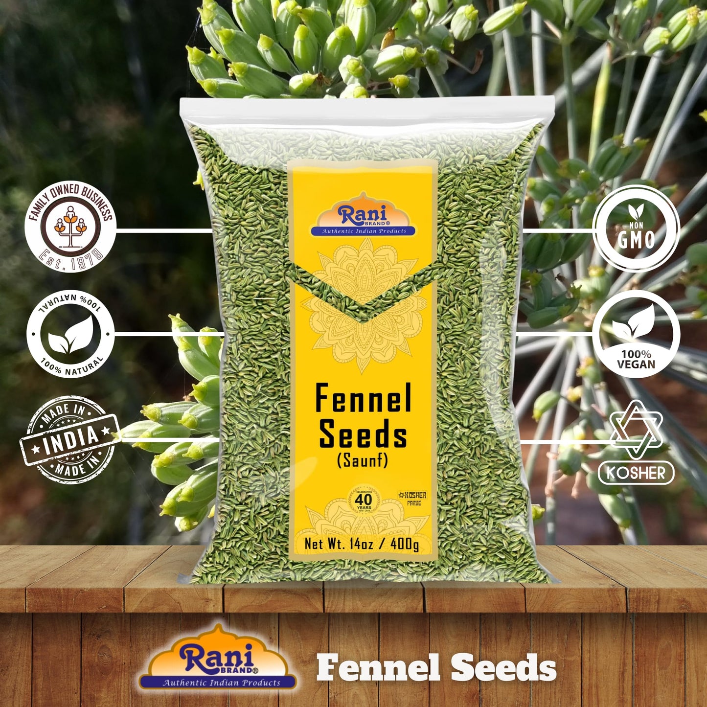 Rani Fennel Seeds (Saunf Sabut) Whole Spice 14Oz (400G) All Natural Gluten Friendly Non-Gmo Vegan Indian Origin