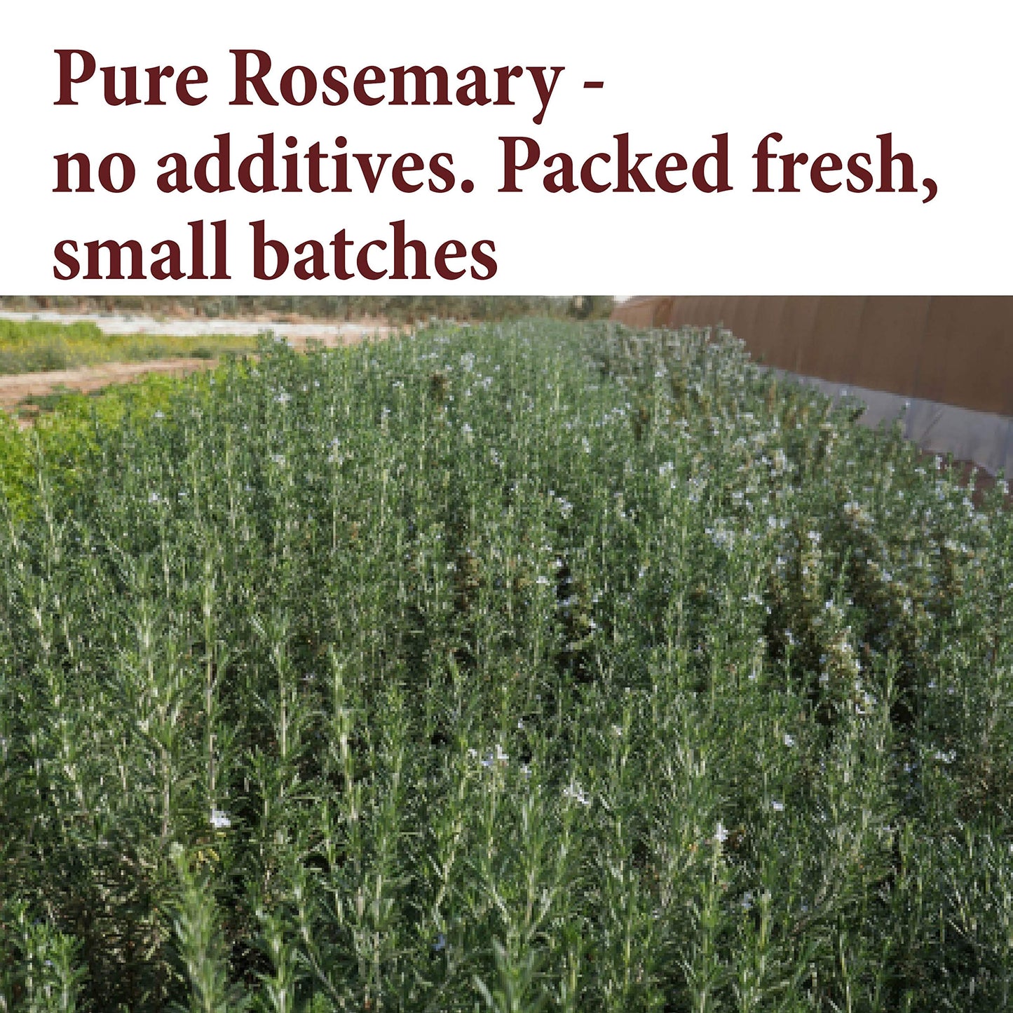 The Spice Way Rosemary Leaves - (3 Oz)