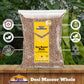 Rani Desi Masoor (Masur) Whole 128Oz (8Lbs) 3.63Kg (Aka. Pardina Spanish/American Brown Lentils Whole) Bulk ~ All Natural | Vega