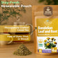 4 oz. Dandelion Leaf Root Tea Dandelion Tea Herbal (Taraxacum) - 113g Herbhojas Y Ra?z De Diente De Le?n